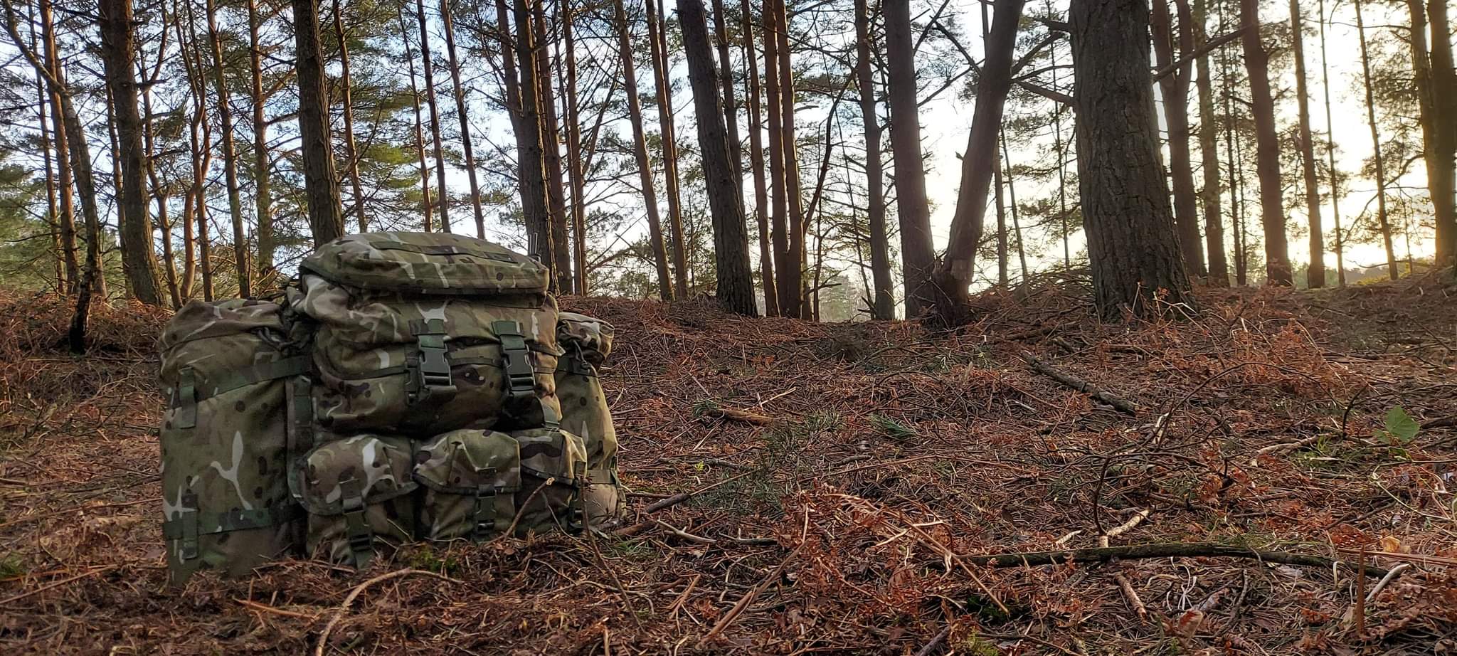 Camouflage military backpack positioned on forest floor among pine trees, reflecting outdoor tactical gear context.