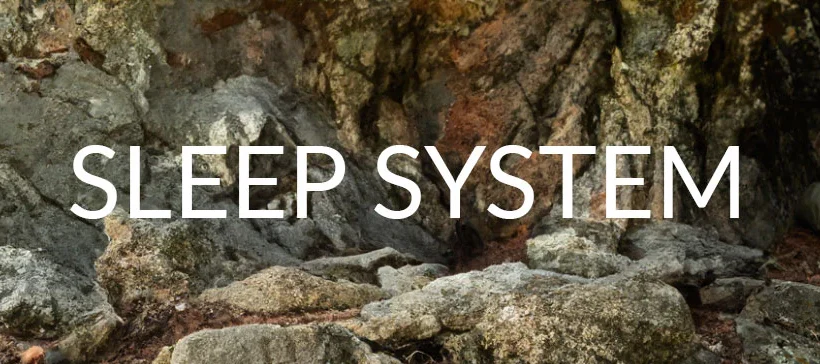 Snugpak Special Forces Sleeping System